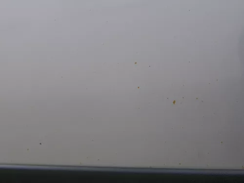 Skoda Octavia 1U Kombi  +Limo Tür vorne rechts Beifahrertür grau silber LF7T (184303)