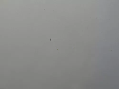 Skoda Octavia 1U5 Combi Kombi Variant Tür hinten rechts silber grau LF7T (184304)