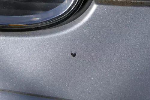 VW Golf 5 1K V Stoßstange vorne Frontoßstange Stoßfänger silber LA7W (184413)