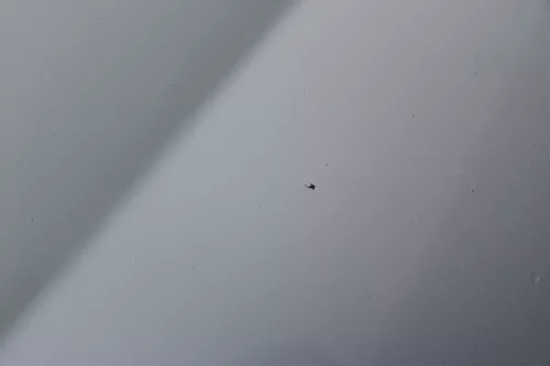 VW Golf 5 V 1K Motorhaube Haube Klappe vorne silber grau LA7W (184418)