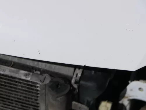 VW Polo 6R 6C Motorhaube Klappe vorn vorne weiß LB9A  - DELLE Knick Bilder! (184493)