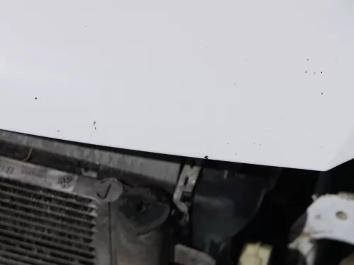 VW Polo 6R 6C Motorhaube Klappe vorn vorne weiß LB9A  - DELLE Knick Bilder! (184493)