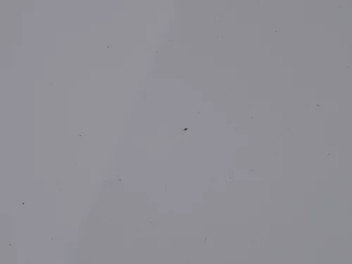 VW Polo 6R 6C Motorhaube Klappe vorn vorne weiß LB9A  - DELLE Knick Bilder! (184493)