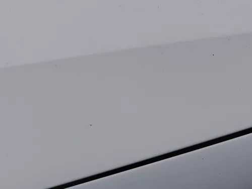 VW Polo 6R 6C Motorhaube Klappe vorn vorne weiß LB9A  - DELLE Knick Bilder! (184493)