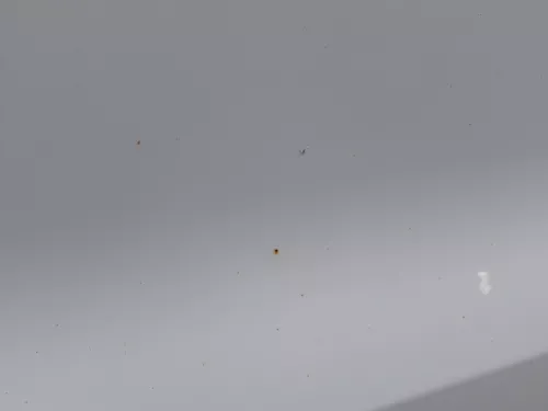 Polo 6R 6C Tür vorne rechts Beifahrertür 2/3-Türer weiß LB9A -ohne Anbauteile (184494)