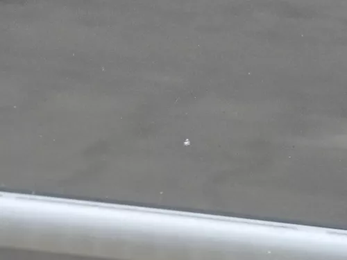 VW Golf 4 Tür vorne rechts Beifahrertür 2/3-Türer schwarz LC9Z ohnAnbauteile (184566)