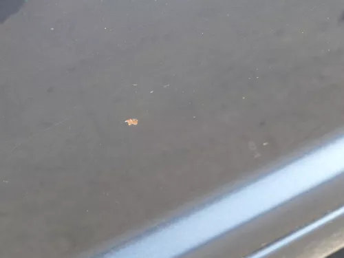 VW Golf 4 Bora Tür hinten links nur Kombi / Variant grau LC7V - ohne Anbauteile (184593)