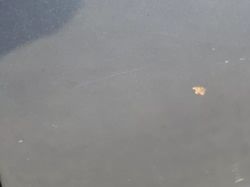 VW Golf 4 Bora Tür hinten links nur Kombi / Variant grau LC7V - ohne Anbauteile (184593)