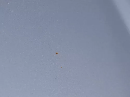 Seat Arosa 6H Facelift Motorhaube Haube Klappe vorne grau silber LS7N (184693)