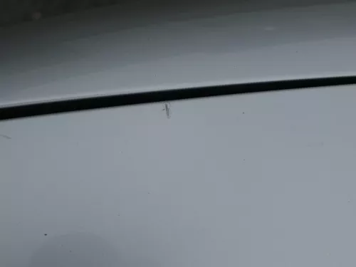 VW Golf 4 Motorhaube Haube Klappe vorne silber grau LA7W grau reflexsilber (184695)