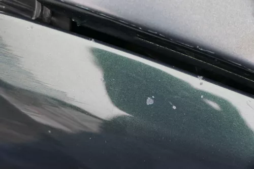 Skoda Fabia 6Y Kotflügel vorne link grün LF8C auch Kombi (184737)