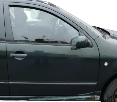 Skoda Fabia 6Y Kombi Limousine Tür vorne rechts Beifahrertür grün LCF8C