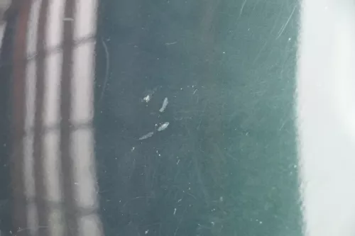 Skoda Fabia 6Y Combi Kombi Heckklappe Kofferraumklappe Klappe grün LF8C (184744)