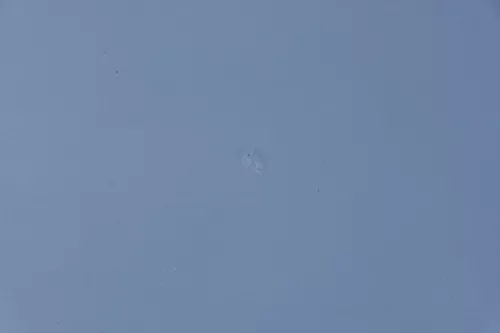 VW Sharan 7M Motorhaube Klappe Haube vorn vorne blau LC5W ab ca.Bj2000passend (184754)