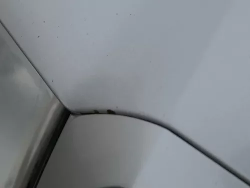 Skoda Fabia 6Y Motorhaube Klappe vorne silber LF7T vorn     (OHNEgrill!) (184846)