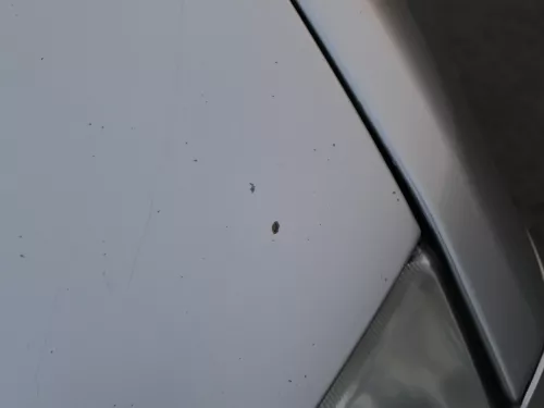 Skoda Fabia 6Y Motorhaube Klappe vorne silber LF7T vorn     (OHNEgrill!) (184846)