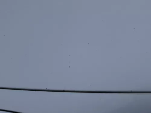 Skoda Fabia 6Y Motorhaube Klappe vorne silber LF7T vorn     (OHNEgrill!) (184846)