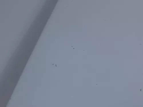 Skoda Fabia 6Y Motorhaube Klappe vorne silber LF7T vorn     (OHNEgrill!) (184846)