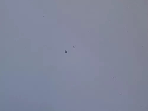 Skoda Fabia 6Y Motorhaube Klappe vorne silber LF7T vorn     (OHNEgrill!) (184846)