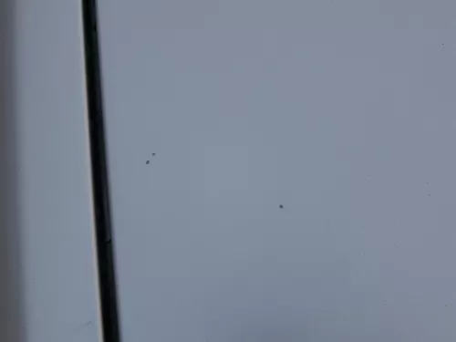 Skoda Fabia 6Y Motorhaube Klappe vorne silber LF7T vorn     (OHNEgrill!) (184846)