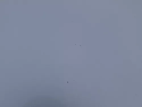 Skoda Fabia 6Y Motorhaube Klappe vorne silber LF7T vorn     (OHNEgrill!) (184846)