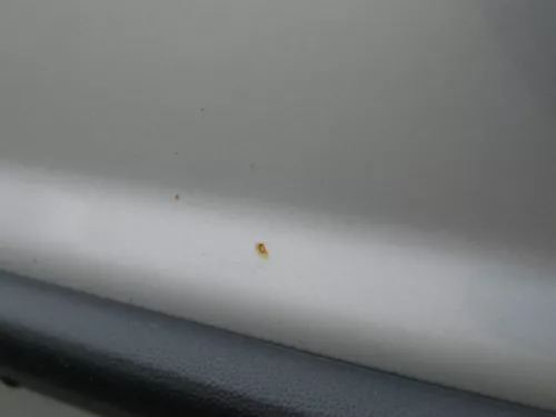 Skoda Fabia 6Y Kombi Limousine Tür vorne rechts Beifahrertür silber grau LF7T (184851)