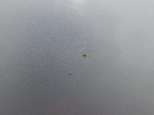 Skoda Fabia 6Y Kombi Limousine Tür vorne rechts Beifahrertür silber grau LF7T (184851)