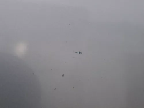 Skoda Fabia 6Y Kombi Limousine Tür vorne rechts Beifahrertür silber grau LF7T (184851)