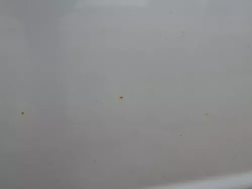 Skoda Fabia 6Y Kombi Limousine Tür vorne rechts Beifahrertür silber grau LF7T (184851)