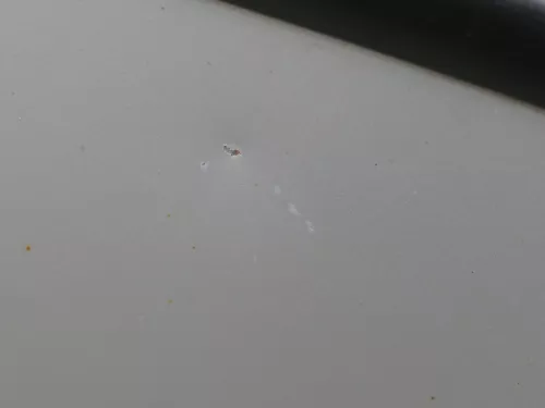 Skoda Fabia 6Y Limousine Schrägheck Tür hinten links grau silber LF7T (184863)