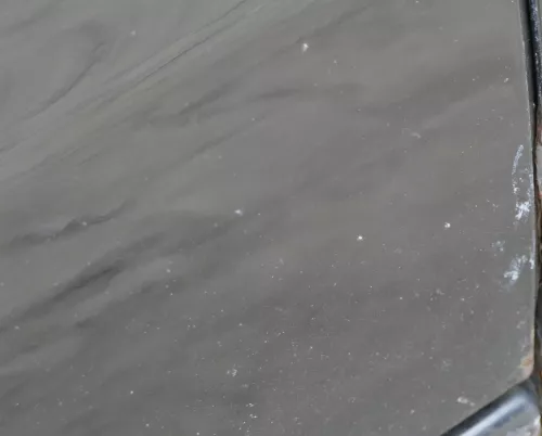 Sharan 7M Tür rechts vorne Beifahrertür schwarz abBj2000 Facelift ohneAnbauteile (184931)