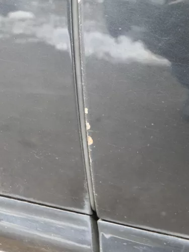 Audi A6 4B C5 Tür Türblatt hinten links nur Türblatt schwarz LZ9W -ohneAnbauteil (184973)