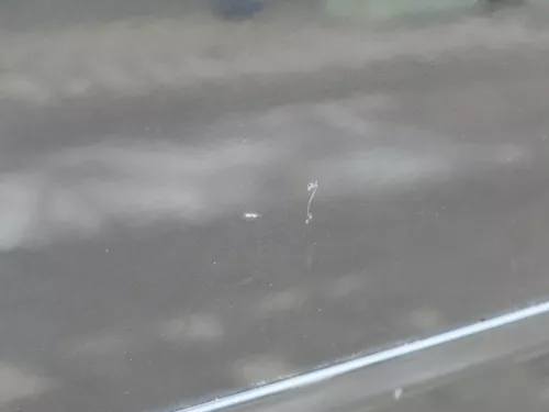 Audi A6 4B C5 Tür nur Türblatt vorne rechts Beifahrertür schwarz LZ9W (184974)