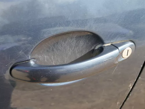 VW Golf Plus 5M Türblatt Tür vorne links Fahrertür grau LC5F -Türblatt +Rahmen (185024)