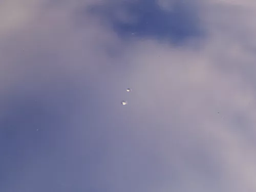 Audi A4 B5 Motorhaube Haube Klappe vorne blau LZ5T bis ca. Bj. 1999 + Grill (185052)