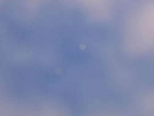 Audi A4 B5 Motorhaube Haube Klappe vorne blau LZ5T bis ca. Bj. 1999 + Grill (185052)