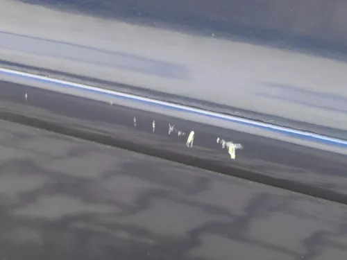 Audi A4 B5 Tür Türblatt hinten rechts blau LZ5T Kombi Limo (185056)