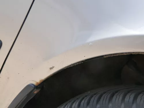 Skoda Octavia 1Z Kotflügel vorne rechts auch Kombi LF8H Cappuccino Beige (185765)