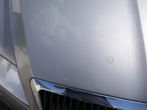 Skoda Octavia 1Z Motorhaube Haube Klappe vorne Cappuccino Beige LF8H mit Grill (185766)