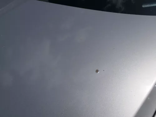 Skoda Octavia 1Z Motorhaube Haube Klappe vorne Cappuccino Beige LF8H mit Grill (185766)