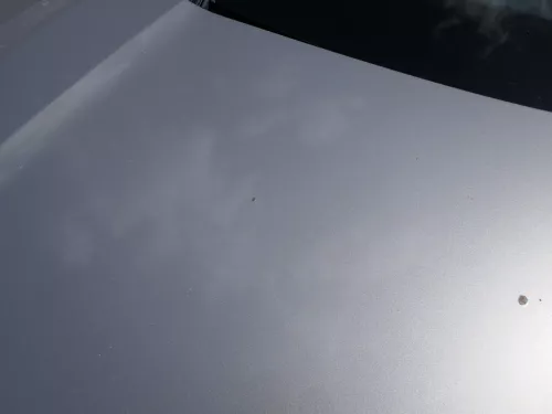 Skoda Octavia 1Z Motorhaube Haube Klappe vorne Cappuccino Beige LF8H mit Grill (185766)