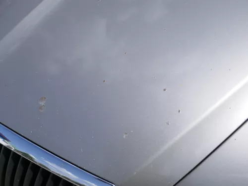 Skoda Octavia 1Z Motorhaube Haube Klappe vorne Cappuccino Beige LF8H mit Grill (185766)