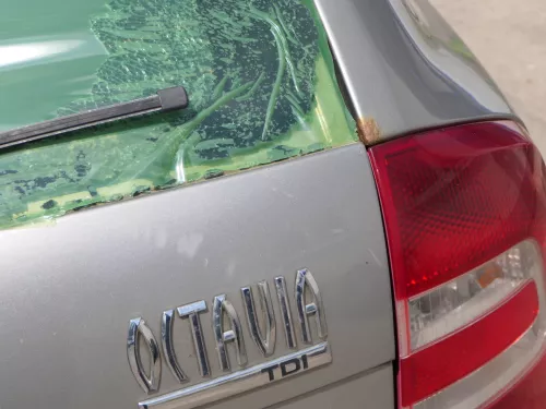 Octavia 1Z Kombi Avant hinten Heckklappe OHNE Scheibe LF8H Cappuccino Beige (185767)