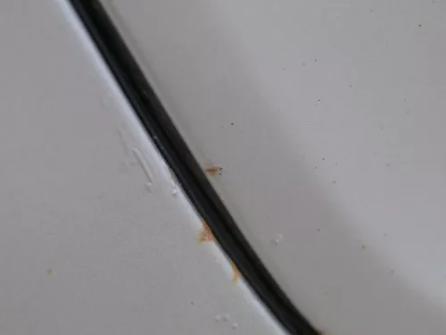 Skoda Octavia 1Z Kombi Tür hinten rechts LF8H Cappuccino Beige (ohneAnbauteile) (185769)