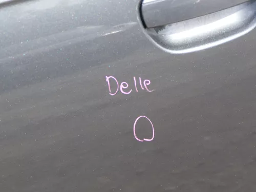 Audi A6 4F C6 Tür Türblatt vorne links Fahrertür grau LZ7S - ohne Anbauteile (185858)