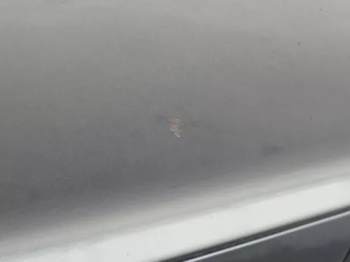 Audi A6 4F C6 Tür Türblatt vorne rechts Beifahrertür grau LZ7S - ohne Anbauteile (185860)