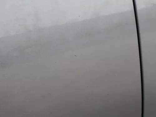 Audi A6 4F C6 Tür Türblatt vorne rechts Beifahrertür grau LZ7S - ohne Anbauteile (185860)