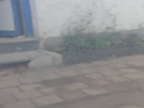 Golf 5 1K5 + 6 nur Kombi / Variant Tür vorne rechts Beifahrertür grau blau LC5F (186019)