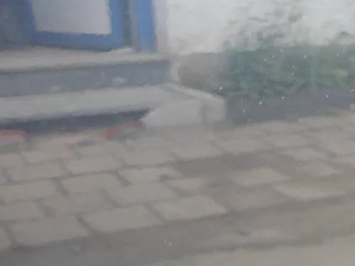 Golf 5 1K5 + 6 nur Kombi / Variant Tür vorne rechts Beifahrertür grau blau LC5F (186019)