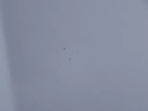 VW Golf 5 V 1K5 Jetta 1K2 Motorhaube Haube Klappe vorne silber LA7W (186064)